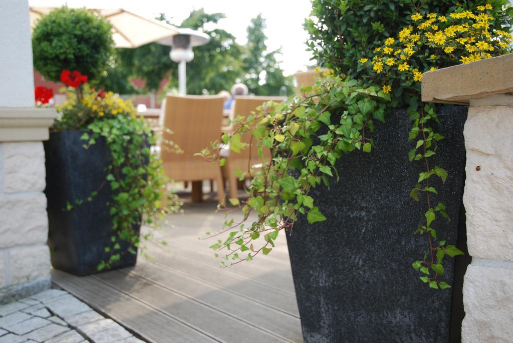 Muensterlaender Hof Hotel Cloppenburg Ngoại thất bức ảnh